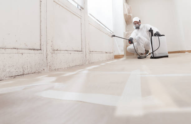 24/7 Emergency Mold Cleanup experts in Phoenixville, PA